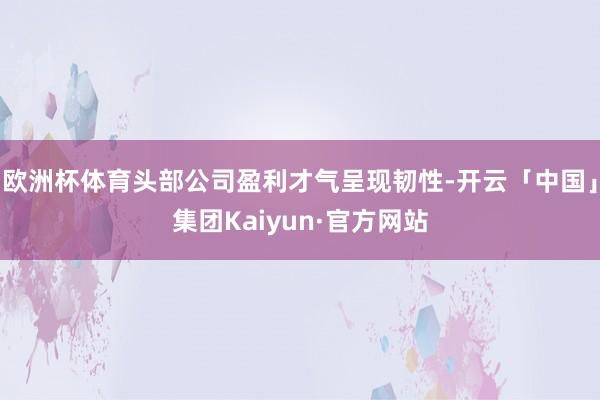 欧洲杯体育头部公司盈利才气呈现韧性-开云「中国」集团Kaiyun·官方网站