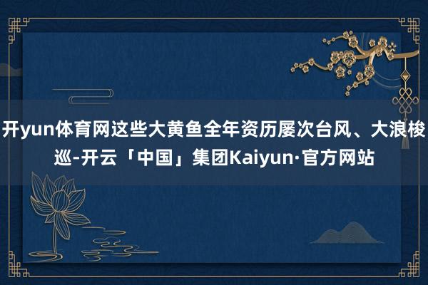 开yun体育网这些大黄鱼全年资历屡次台风、大浪梭巡-开云「中国」集团Kaiyun·官方网站
