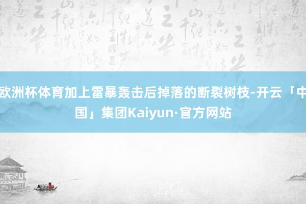 欧洲杯体育加上雷暴轰击后掉落的断裂树枝-开云「中国」集团Kaiyun·官方网站