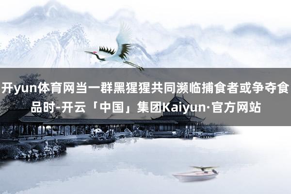 开yun体育网当一群黑猩猩共同濒临捕食者或争夺食品时-开云「中国」集团Kaiyun·官方网站