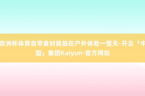 欧洲杯体育自带食材就能在户外体验一整天-开云「中国」集团Kaiyun·官方网站