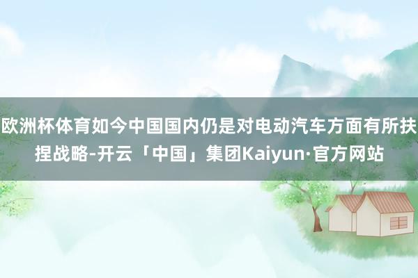 欧洲杯体育如今中国国内仍是对电动汽车方面有所扶捏战略-开云「中国」集团Kaiyun·官方网站