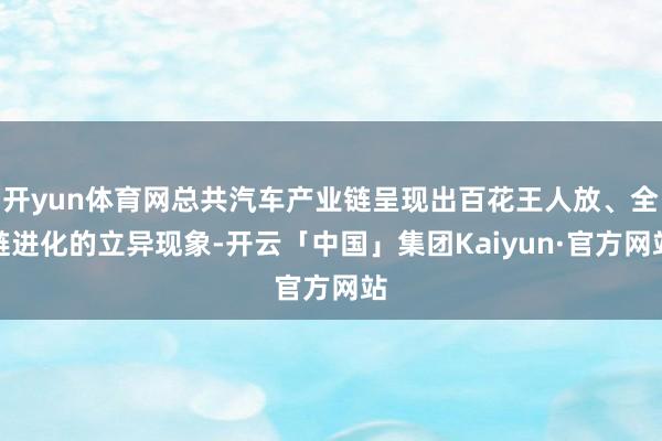 开yun体育网总共汽车产业链呈现出百花王人放、全链进化的立异现象-开云「中国」集团Kaiyun·官方网站