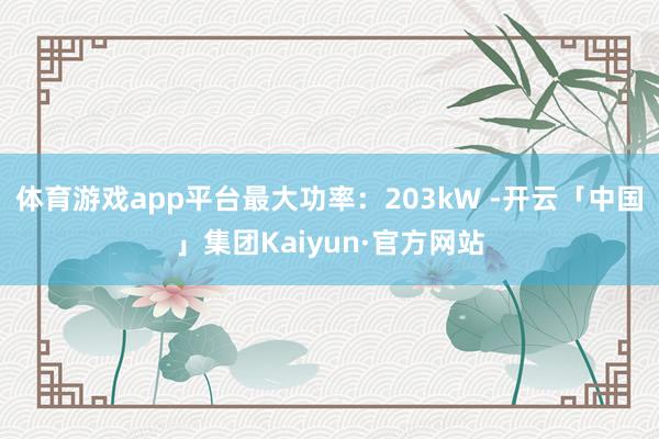 体育游戏app平台最大功率：203kW -开云「中国」集团Kaiyun·官方网站