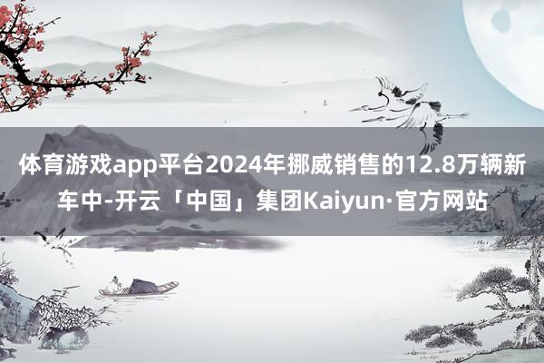 体育游戏app平台2024年挪威销售的12.8万辆新车中-开云「中国」集团Kaiyun·官方网站