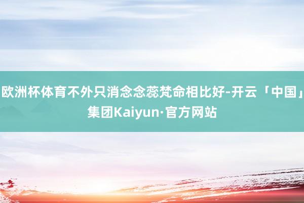 欧洲杯体育不外只消念念蕊梵命相比好-开云「中国」集团Kaiyun·官方网站