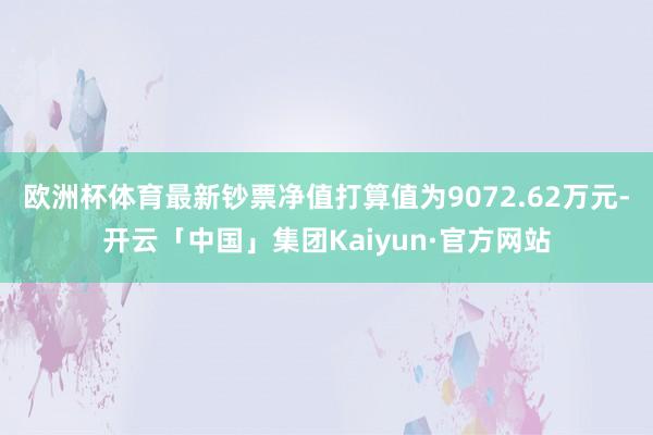 欧洲杯体育最新钞票净值打算值为9072.62万元-开云「中国」集团Kaiyun·官方网站