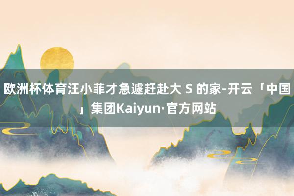 欧洲杯体育汪小菲才急遽赶赴大 S 的家-开云「中国」集团Kaiyun·官方网站