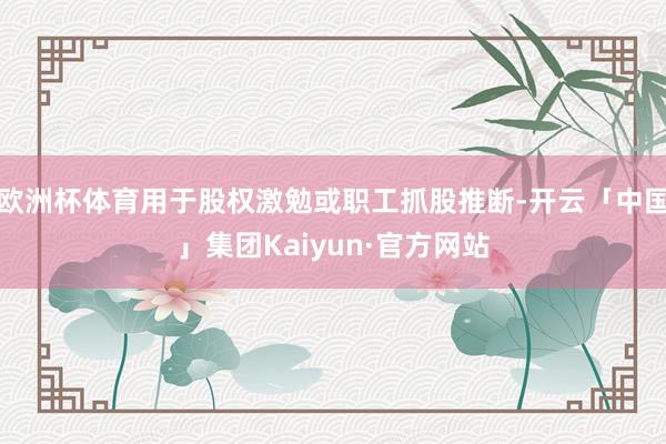 欧洲杯体育用于股权激勉或职工抓股推断-开云「中国」集团Kaiyun·官方网站