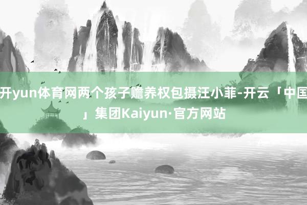 开yun体育网两个孩子赡养权包摄汪小菲-开云「中国」集团Kaiyun·官方网站