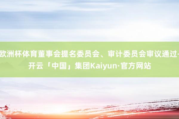 欧洲杯体育董事会提名委员会、审计委员会审议通过-开云「中国」集团Kaiyun·官方网站