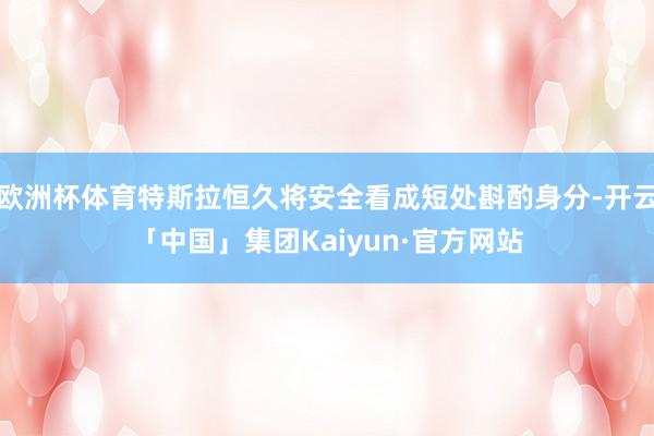 欧洲杯体育特斯拉恒久将安全看成短处斟酌身分-开云「中国」集团Kaiyun·官方网站
