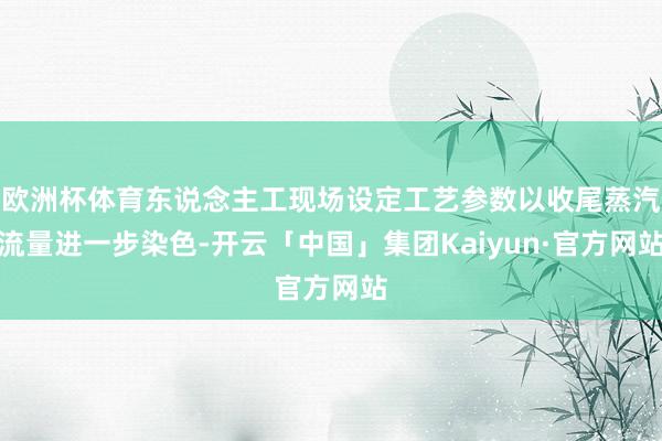 欧洲杯体育东说念主工现场设定工艺参数以收尾蒸汽流量进一步染色-开云「中国」集团Kaiyun·官方网站