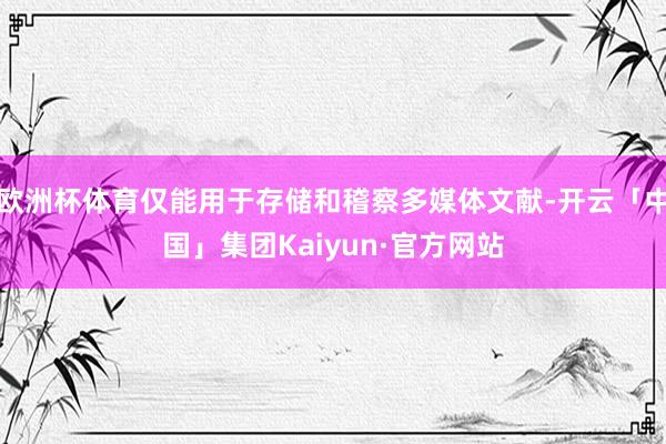 欧洲杯体育仅能用于存储和稽察多媒体文献-开云「中国」集团Kaiyun·官方网站