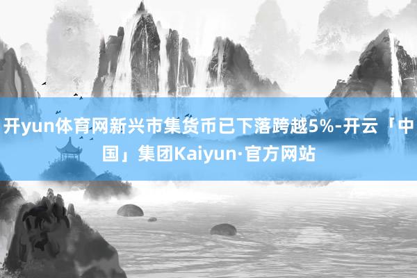 开yun体育网新兴市集货币已下落跨越5%-开云「中国」集团Kaiyun·官方网站