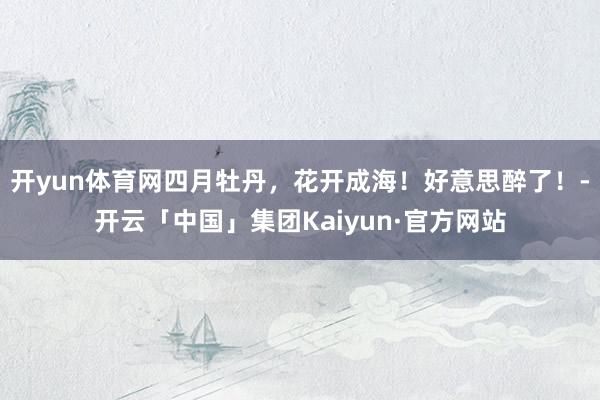 开yun体育网四月牡丹，花开成海！好意思醉了！-开云「中国」集团Kaiyun·官方网站
