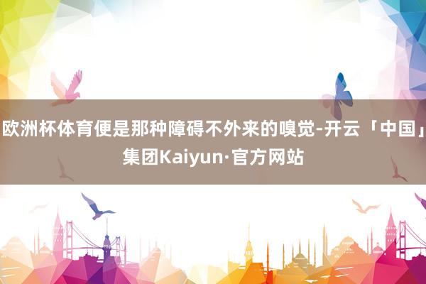 欧洲杯体育便是那种障碍不外来的嗅觉-开云「中国」集团Kaiyun·官方网站