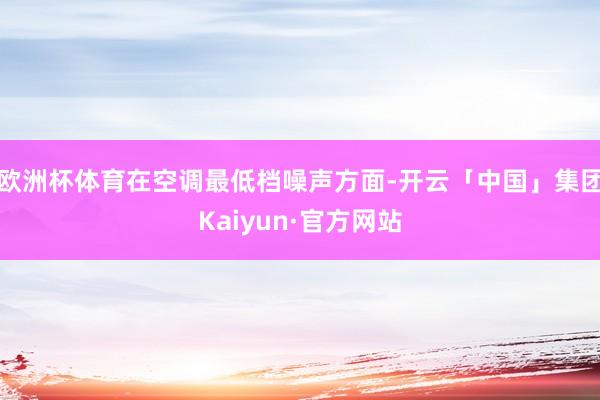 欧洲杯体育在空调最低档噪声方面-开云「中国」集团Kaiyun·官方网站