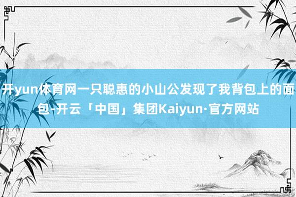 开yun体育网一只聪惠的小山公发现了我背包上的面包-开云「中国」集团Kaiyun·官方网站