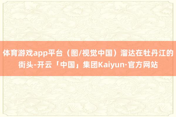 体育游戏app平台(图/视觉中国)溜达在牡丹江的街头-开云「中国」集团Kaiyun·官方网站