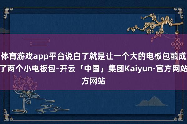 体育游戏app平台说白了就是让一个大的电板包酿成了两个小电板包-开云「中国」集团Kaiyun·官方网站