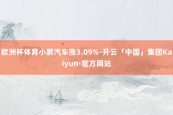 欧洲杯体育小鹏汽车涨3.09%-开云「中国」集团Kaiyun·官方网站