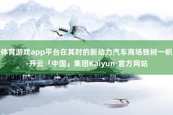 体育游戏app平台在其时的新动力汽车商场独树一帜-开云「中国」集团Kaiyun·官方网站