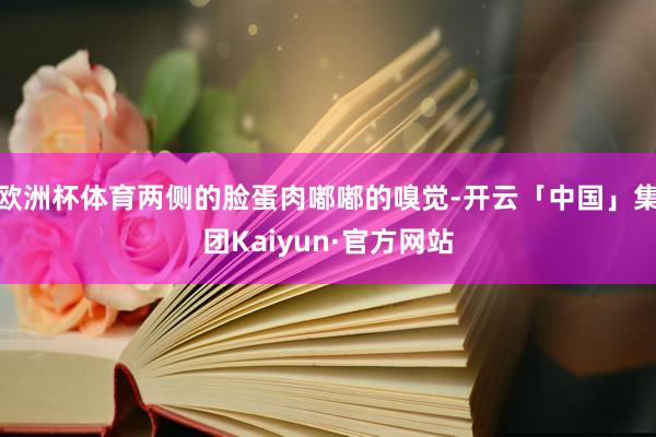 欧洲杯体育两侧的脸蛋肉嘟嘟的嗅觉-开云「中国」集团Kaiyun·官方网站