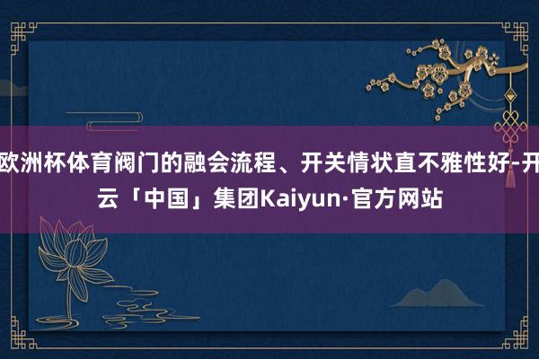 欧洲杯体育阀门的融会流程、开关情状直不雅性好-开云「中国」集团Kaiyun·官方网站