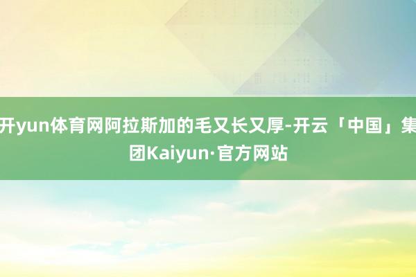 开yun体育网阿拉斯加的毛又长又厚-开云「中国」集团Kaiyun·官方网站
