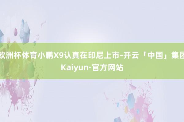 欧洲杯体育小鹏X9认真在印尼上市-开云「中国」集团Kaiyun·官方网站