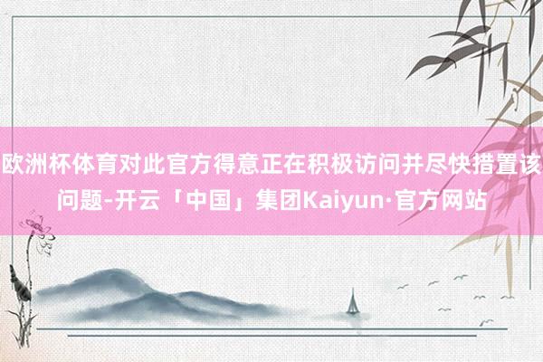 欧洲杯体育对此官方得意正在积极访问并尽快措置该问题-开云「中国」集团Kaiyun·官方网站