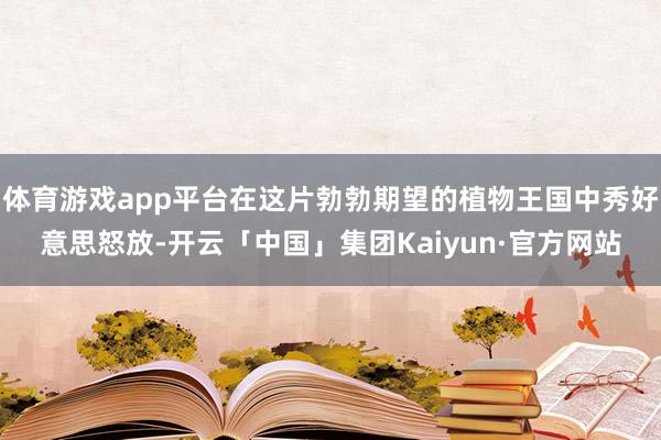 体育游戏app平台在这片勃勃期望的植物王国中秀好意思怒放-开云「中国」集团Kaiyun·官方网站
