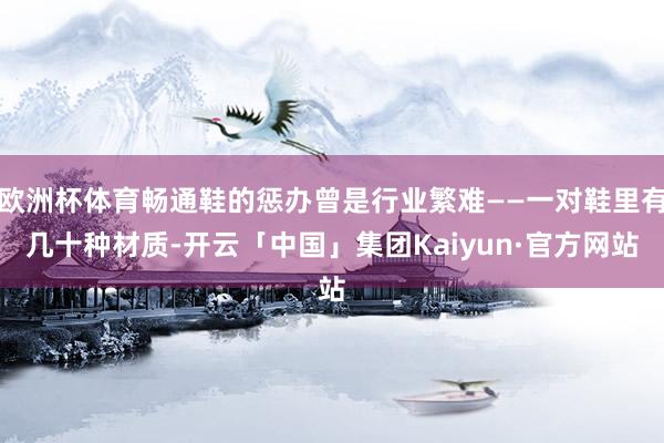 欧洲杯体育畅通鞋的惩办曾是行业繁难——一对鞋里有几十种材质-开云「中国」集团Kaiyun·官方网站