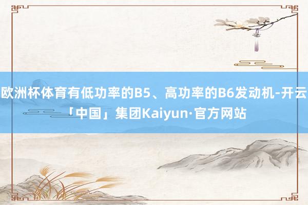 欧洲杯体育有低功率的B5、高功率的B6发动机-开云「中国」集团Kaiyun·官方网站