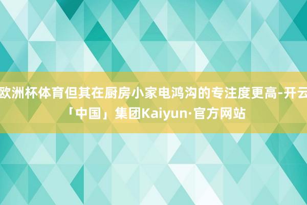 欧洲杯体育但其在厨房小家电鸿沟的专注度更高-开云「中国」集团Kaiyun·官方网站