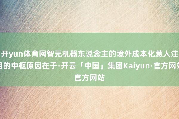 开yun体育网智元机器东说念主的境外成本化惹人注目的中枢原因在于-开云「中国」集团Kaiyun·官方网站